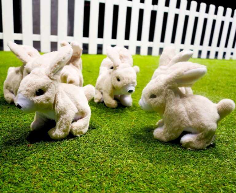 Le problème lapin – Maison des Métallos
