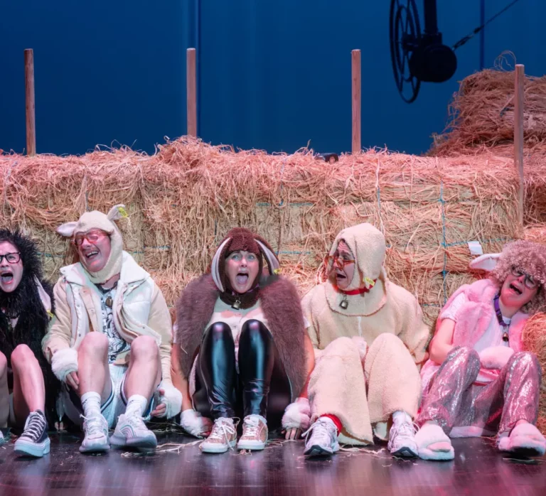 Foutue Bergerie – Théâtre du Rond-Point