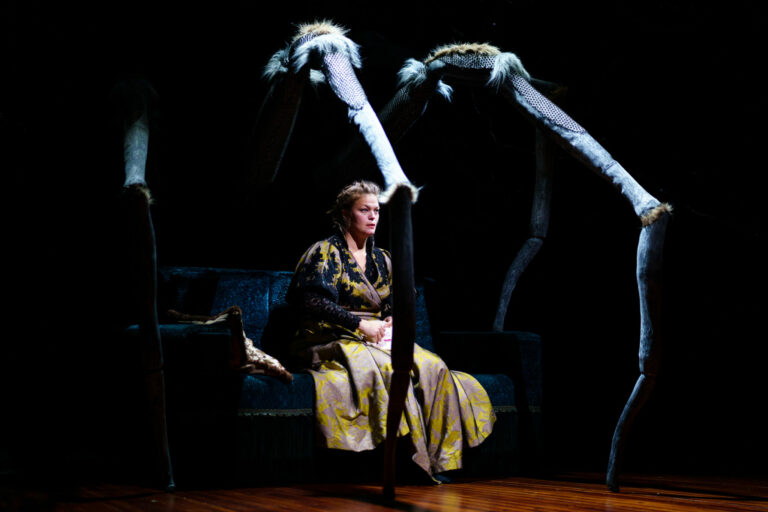 Une maison de poupée – Théâtre Silvia Monfort ❤️