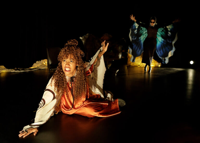 Insectes – Théâtre 13